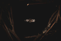 Black Burial II